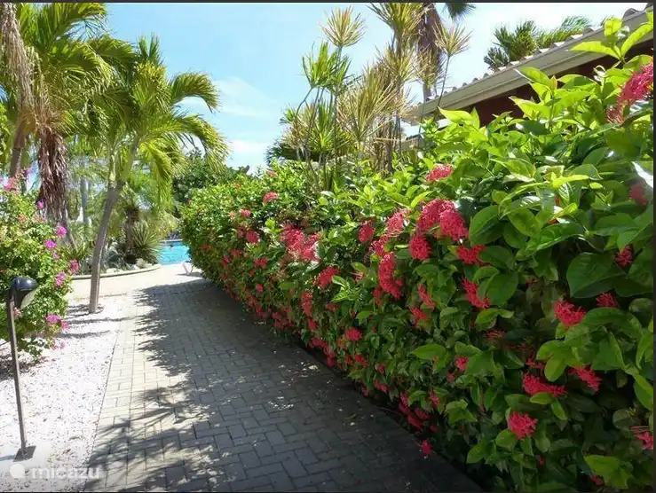 De camino a la piscina