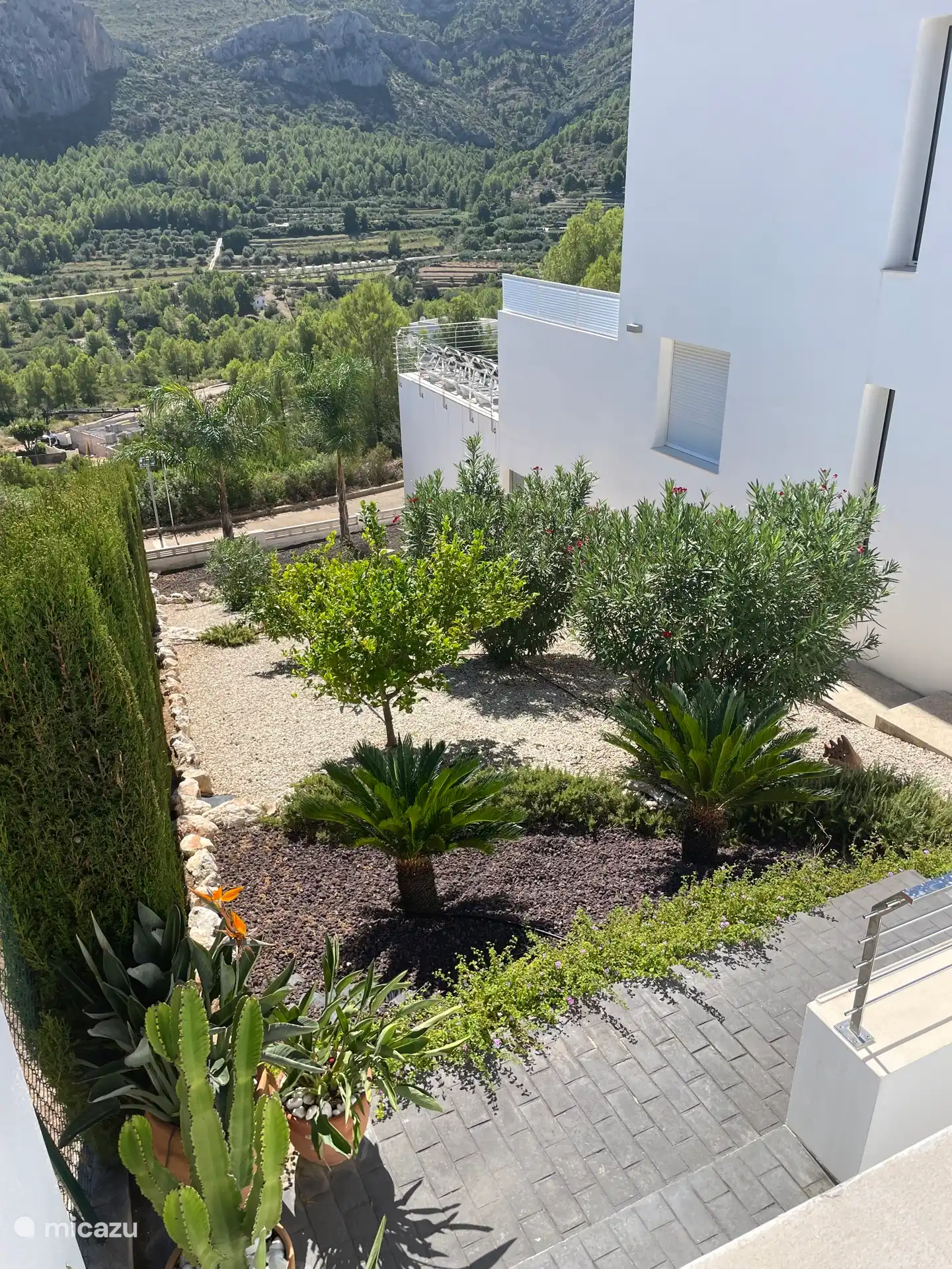 S&#252;dseitiger Garten und Terrasse