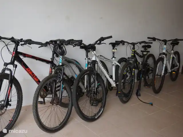 Vila Da Paz, avec vue sur la mer ! | Portugal, Costa de Prata, Nadadouro - villa Il y a 5 vélos pour explorer la région.