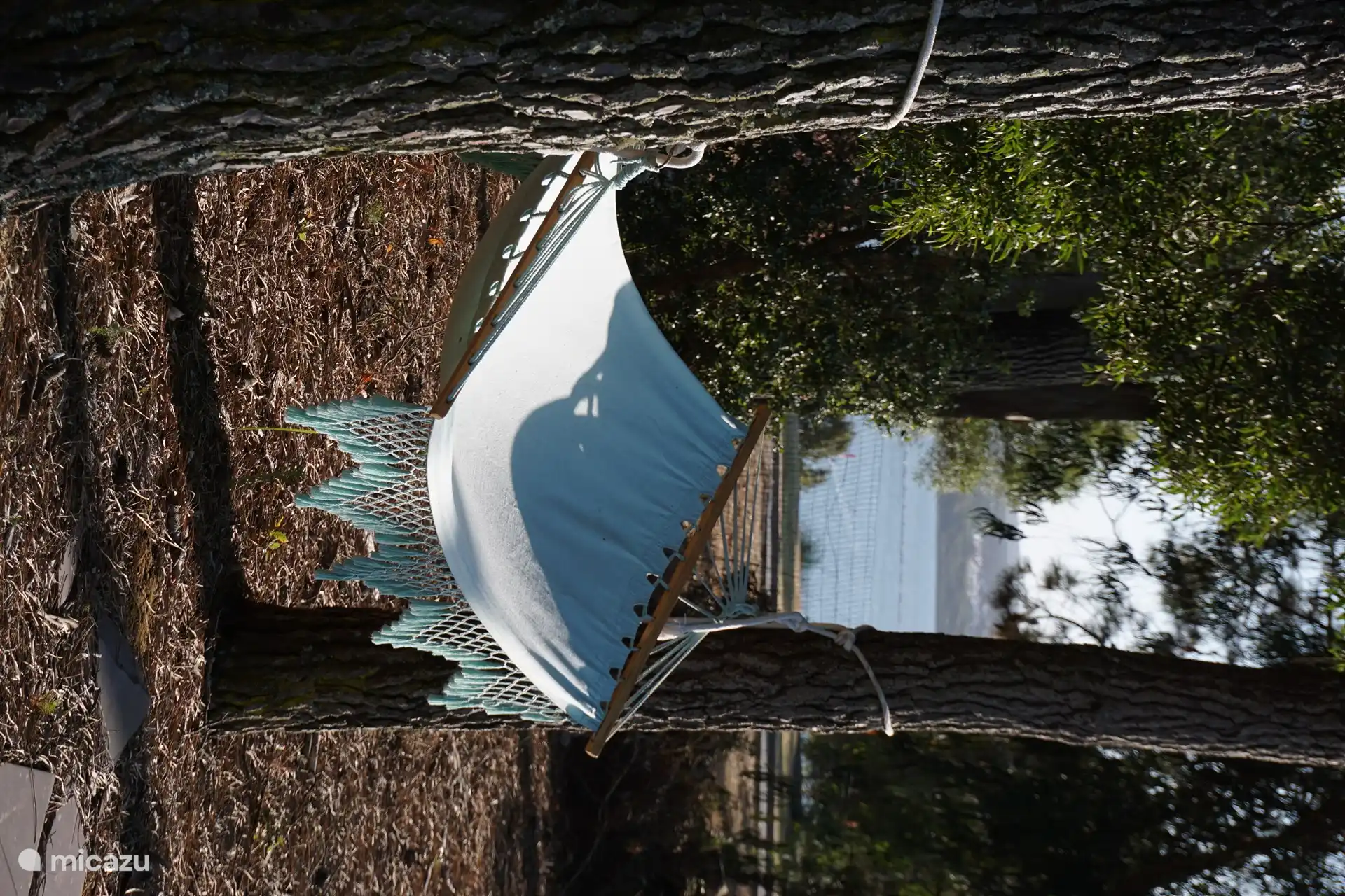 Hängematte unter den Bäumen