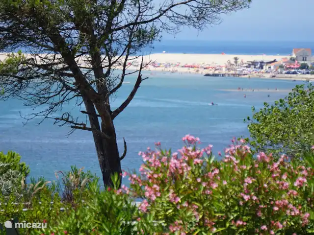 Vila Da Paz, avec vue sur la mer ! | Portugal, Costa de Prata, Nadadouro - villa La plage de Foz do Arelho est à proximité