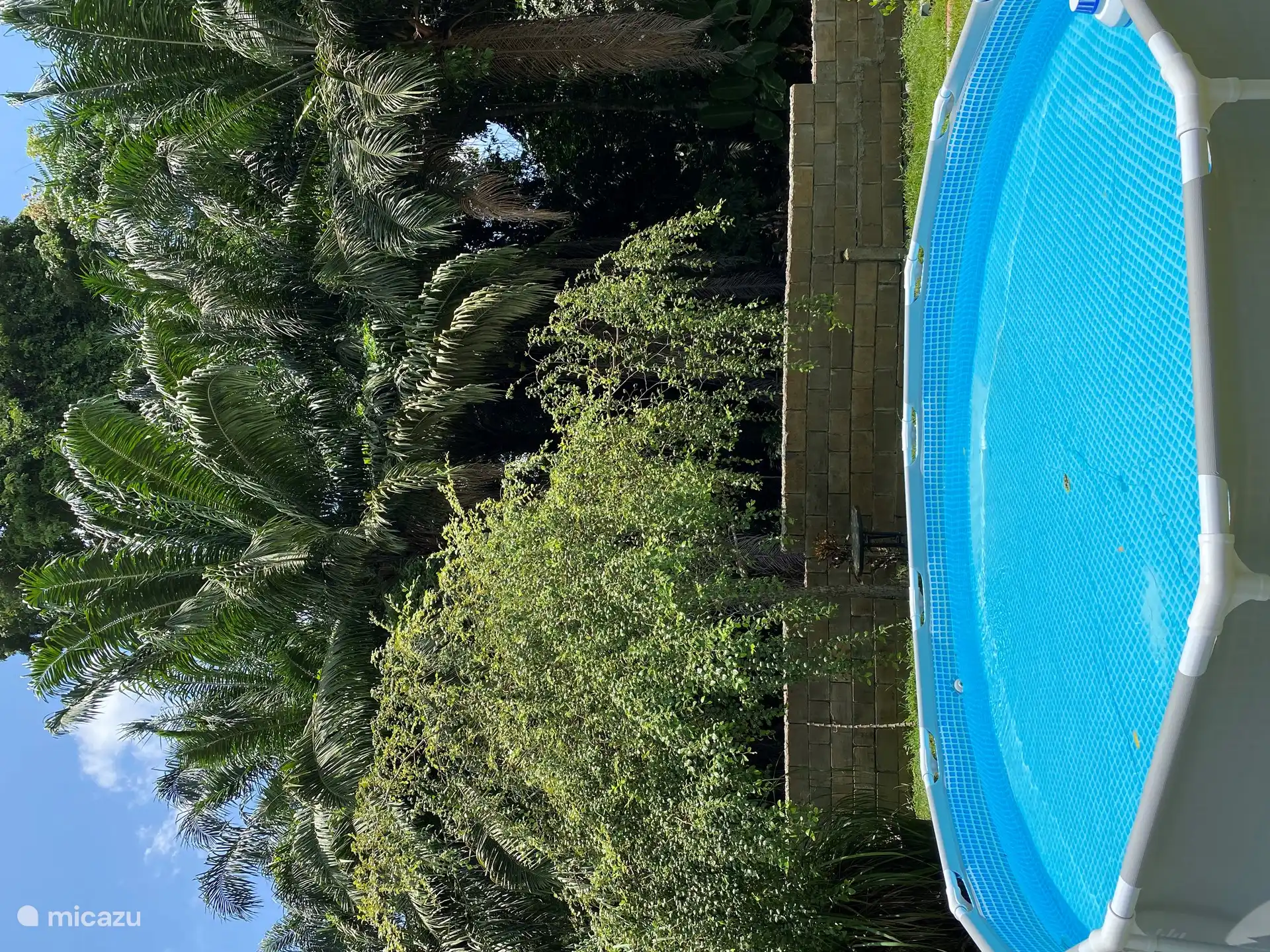 View while you're floating in the pool