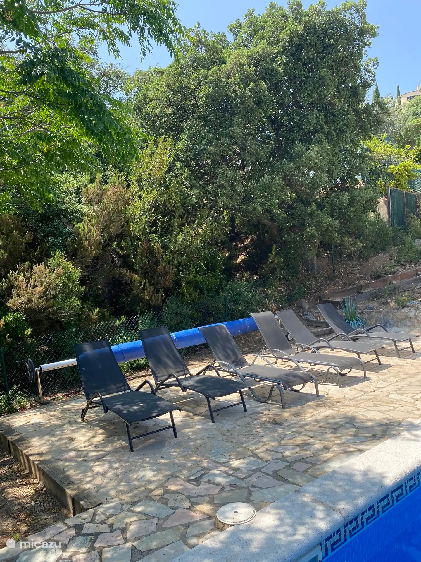 Comfortable lounge chairs