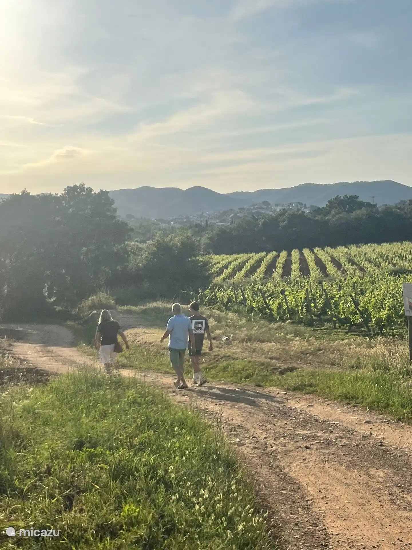 Walk through the vineyards of Calonge