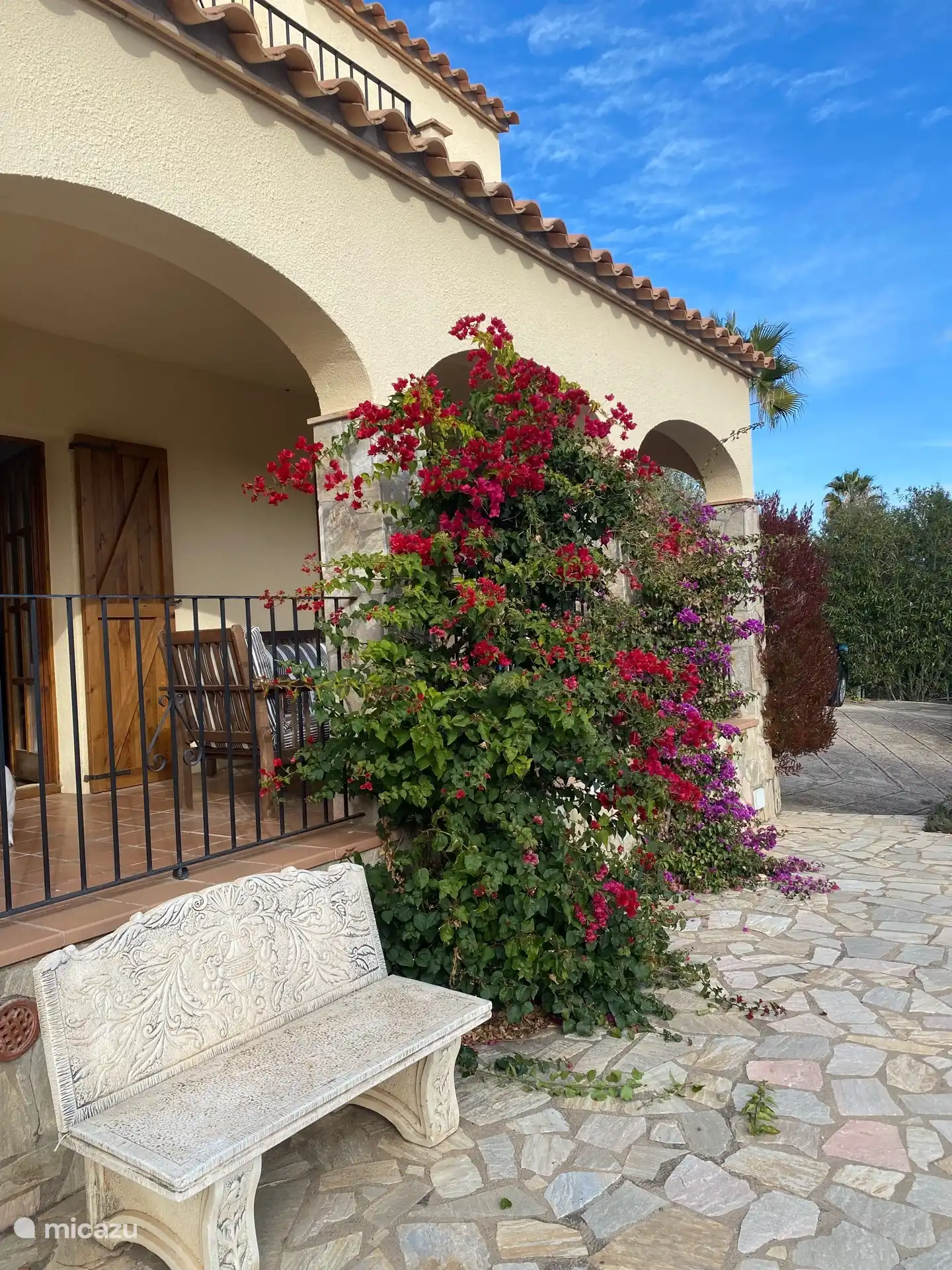 Beautiful bougainvillea