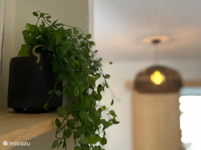 apartamento en España, Ibiza, Cala Llenya – Casa Josine Cala Llenya Bonitos elementos de decoración.