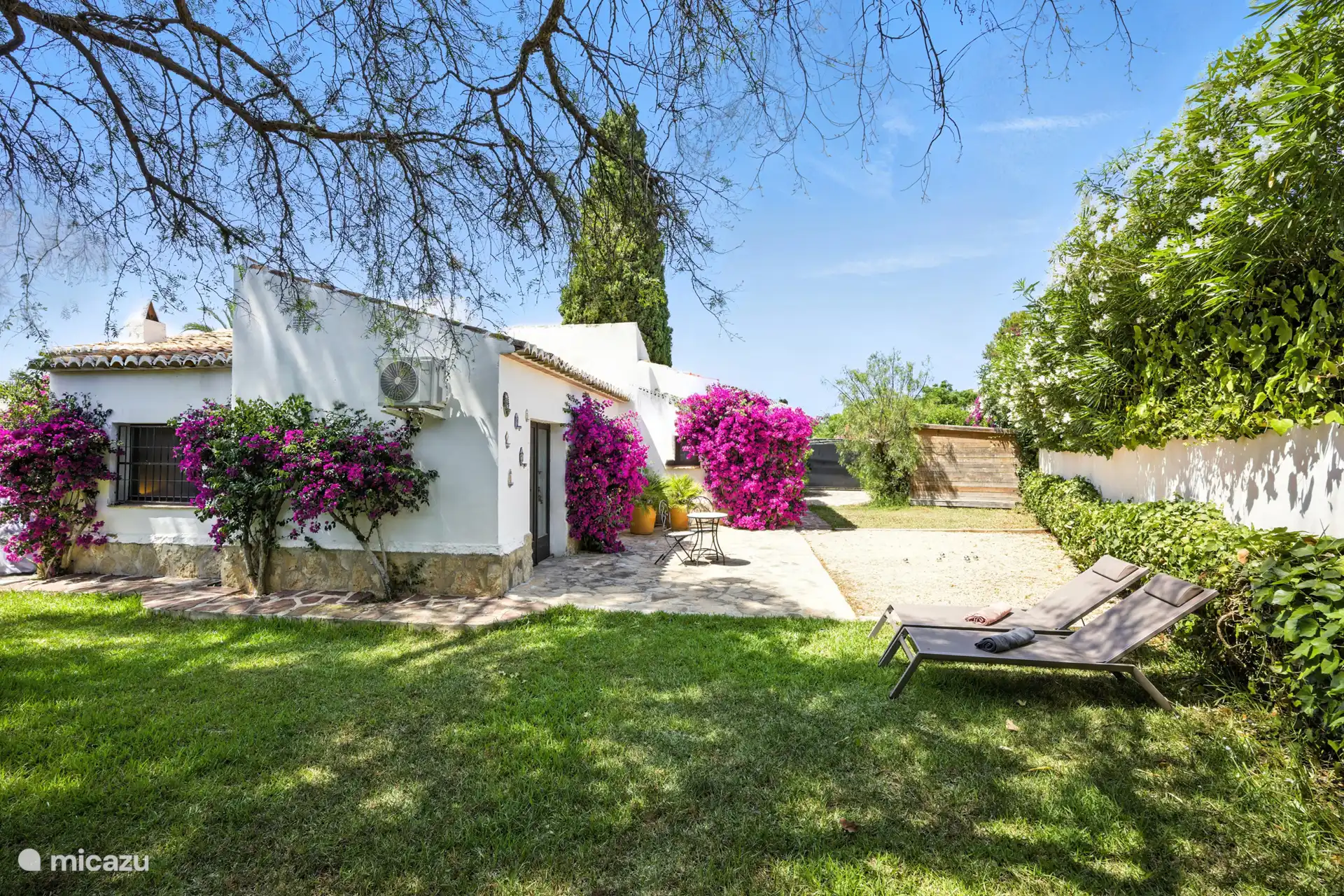 Cour arrière spacieuse, terrain de pétanque, lumière voilée