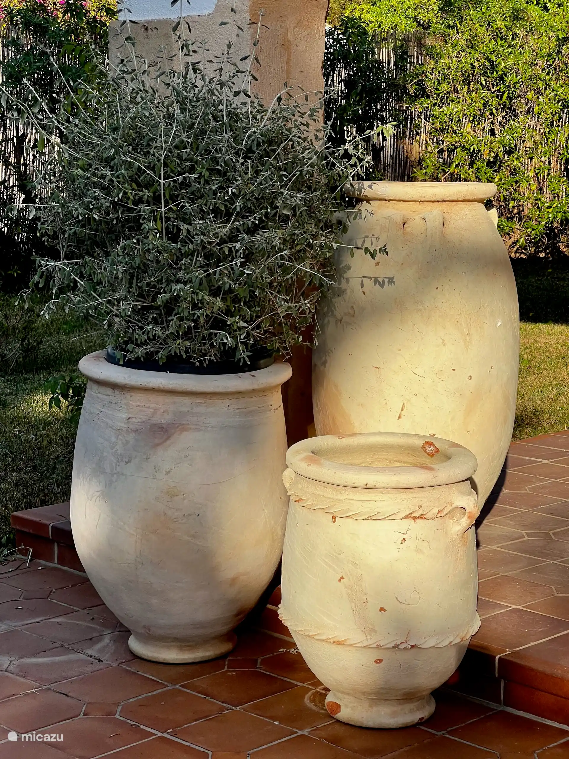 Des pots du Sahara !