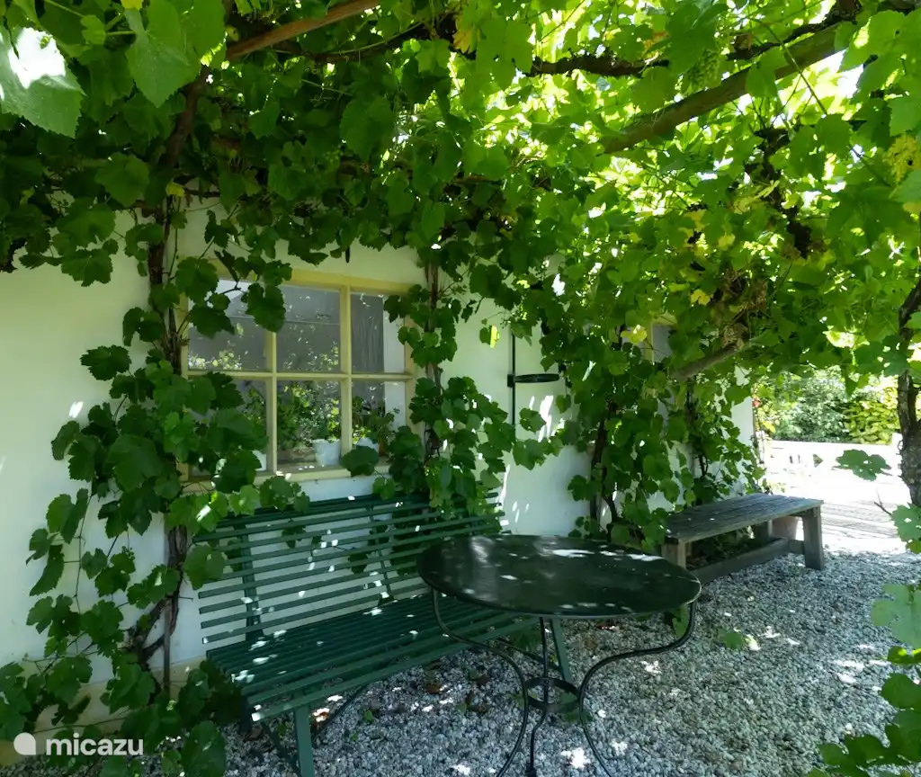 Schattiger Sitzplatz unter der Traube