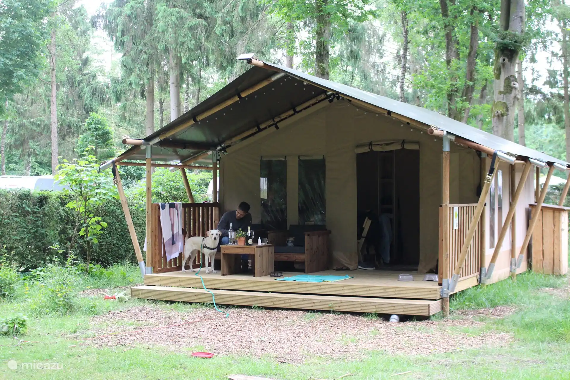 Safarizelt de Das in Niederlande, Gelderland, Epe - glamping / safarizelt / yurt