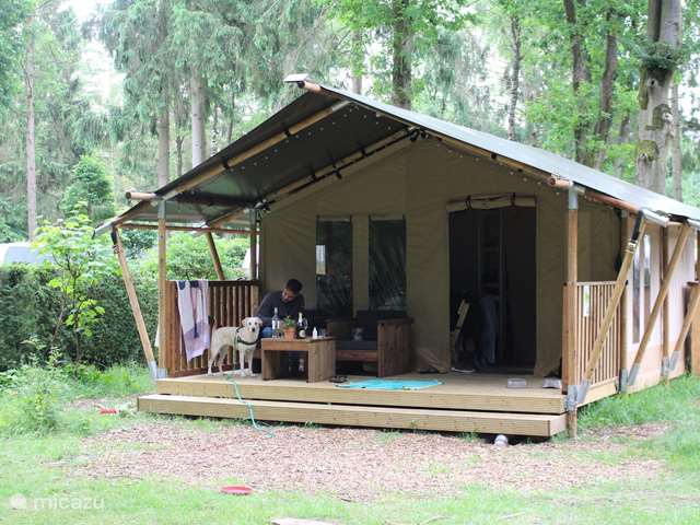Vakantiehuis Nederland, Gelderland, Emst (Epe) - glamping / safaritent / yurt Safaritent de Das