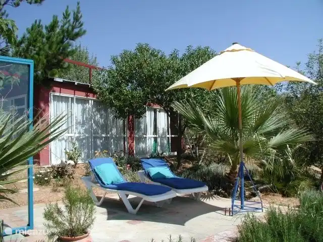 Maison du Théâtre | Portugal, Algarve, Tavira - maison de vacances La maison entourée d’arbres avec une large fenêtre et la terrasse attenante, qui est complètement ombragée avec des serviettes en été.