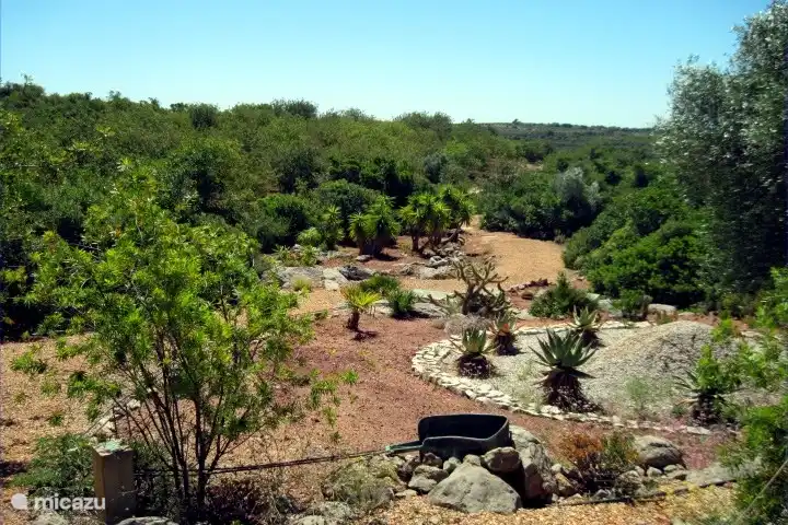 Aussicht auf ein Landartobjekt von der nahen Terrasse aus.
Spazierwege  fuehren durch das Gelaende.