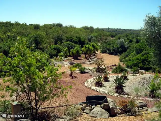 Maison du Théâtre | Portugal, Algarve, Tavira - maison de vacances Vue d'un objet d'art champêtre depuis la terrasse voisine.
Des sentiers pédestres traversent la région.