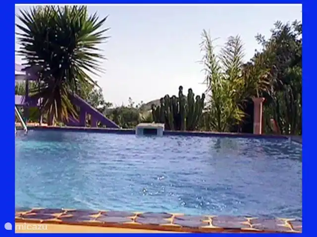 Maison du Théâtre | Portugal, Algarve, Tavira - maison de vacances La piscine voisine, entourée de carrelage fait main, vous invite à vous rafraîchir.