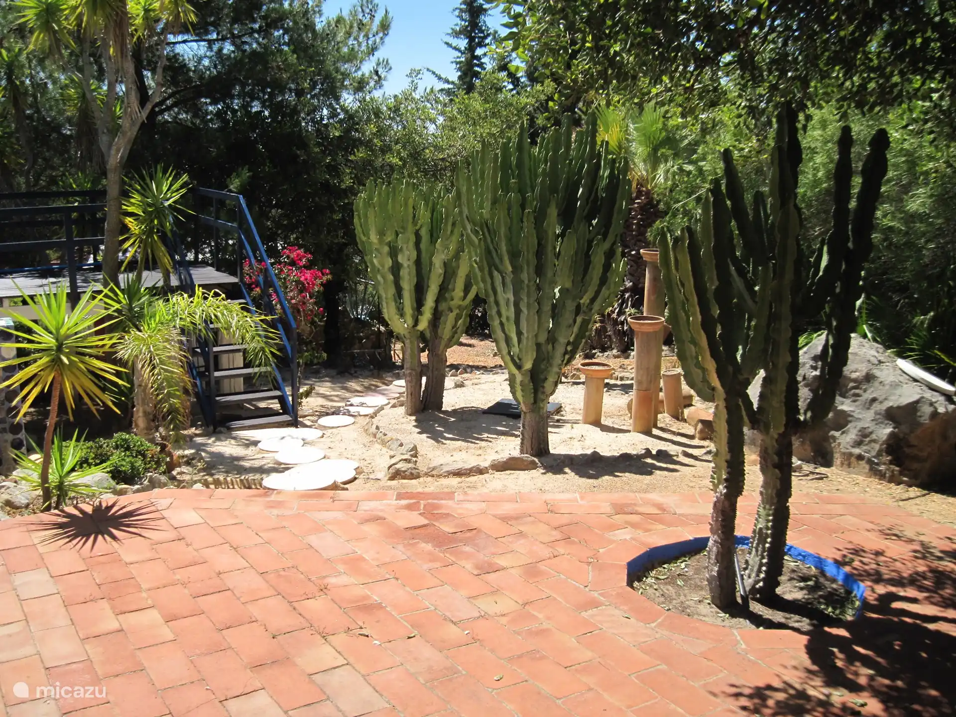 Angrenzender Blick vom Pool aus auf die tollen Kakteen die vor Jahren gerade einmal 20cm hoch waren.