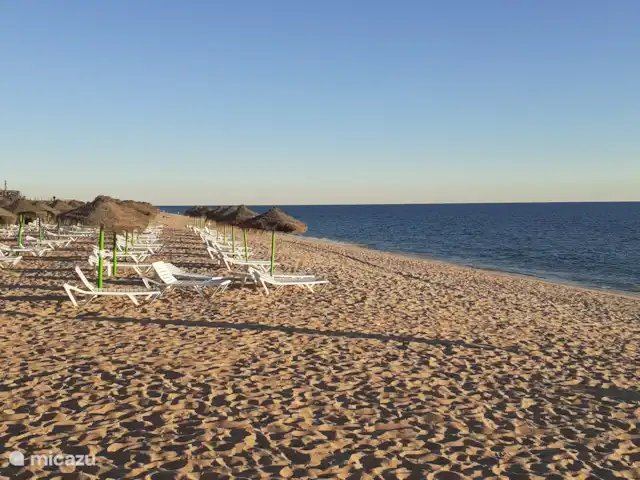 Maison du Théâtre | Portugal, Algarve, Tavira - maison de vacances Très tôt le matin, cela ressemble encore à cela sur nos plages, surtout en automne et au printemps, vous pourrez faire de belles randonnées.