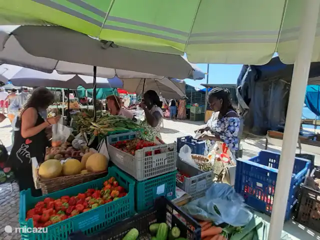 Maison du Théâtre | Portugal, Algarve, Tavira - maison de vacances De merveilleux marchés dans presque tous les endroits avec des produits frais et des gens sympathiques sont quelque chose de spécial pour de nombreux visiteurs. Venez constater par vous-même à quel point il y est vivant,