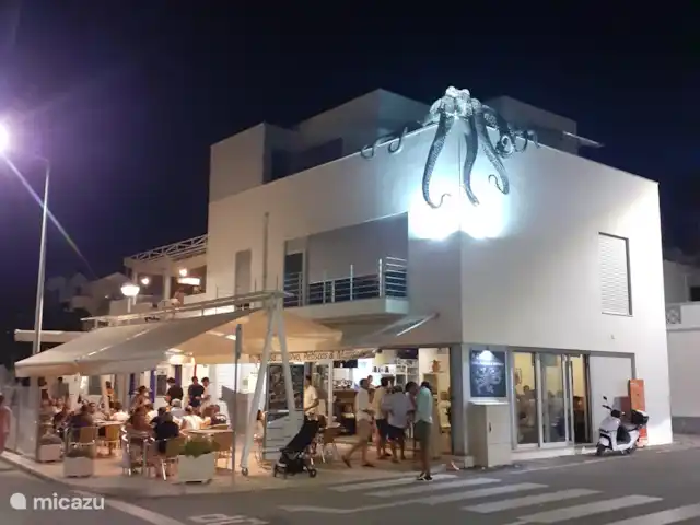 Maison du Théâtre | Portugal, Algarve, Tavira - maison de vacances Notre deuxième maison, pour ainsi dire, est le bar à tapas de Sainte-Lucie appelé « CASA », de délicieux petits plats de la forteresse de la pieuvre et particulièrement bons après une journée à la plage à Terra Estreita ou Barril.
