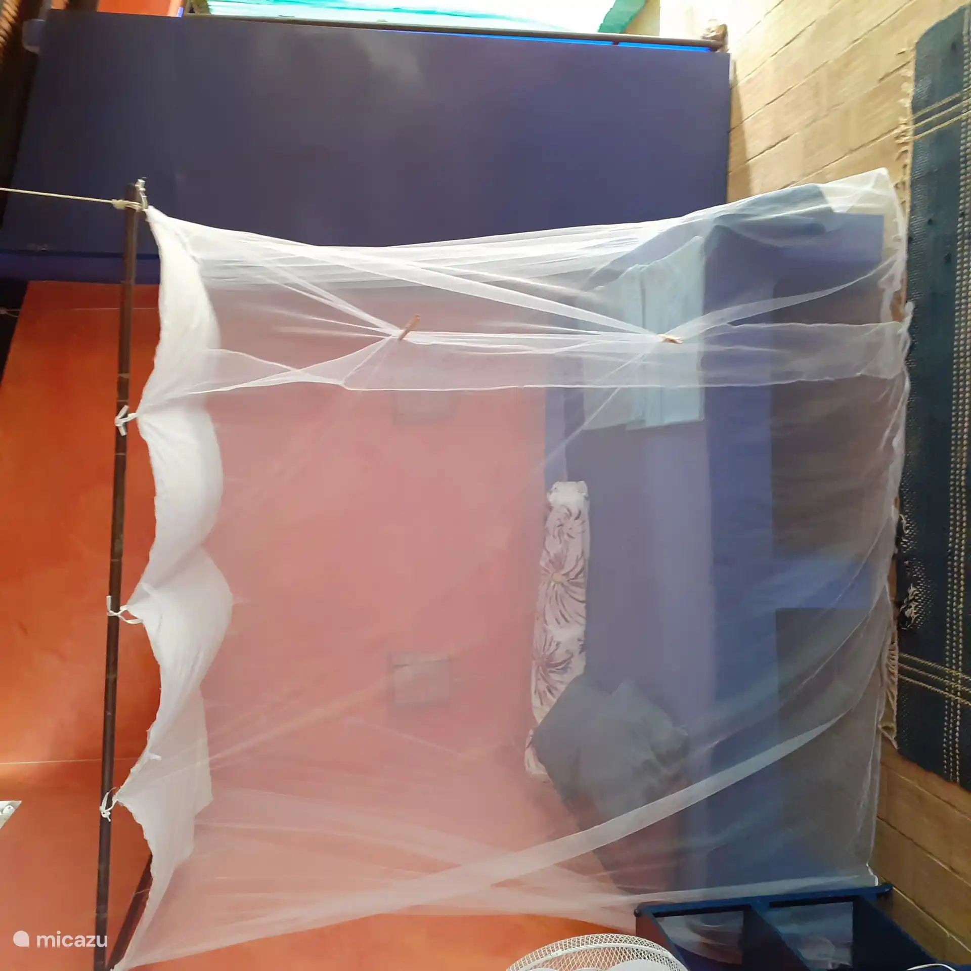 Hier sehen Sie das Doppelbett im Lebensraum mit Mueckenschutz.