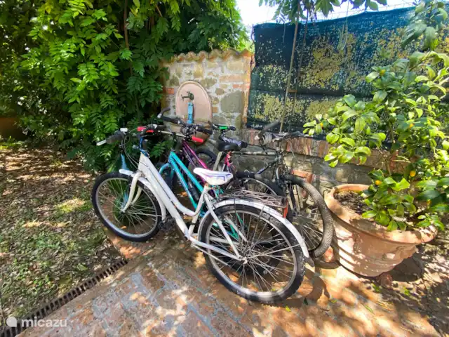 Maison piscine privée 50km Pise/Florenc | Italie, Toscane, Pisa - maison de vacances