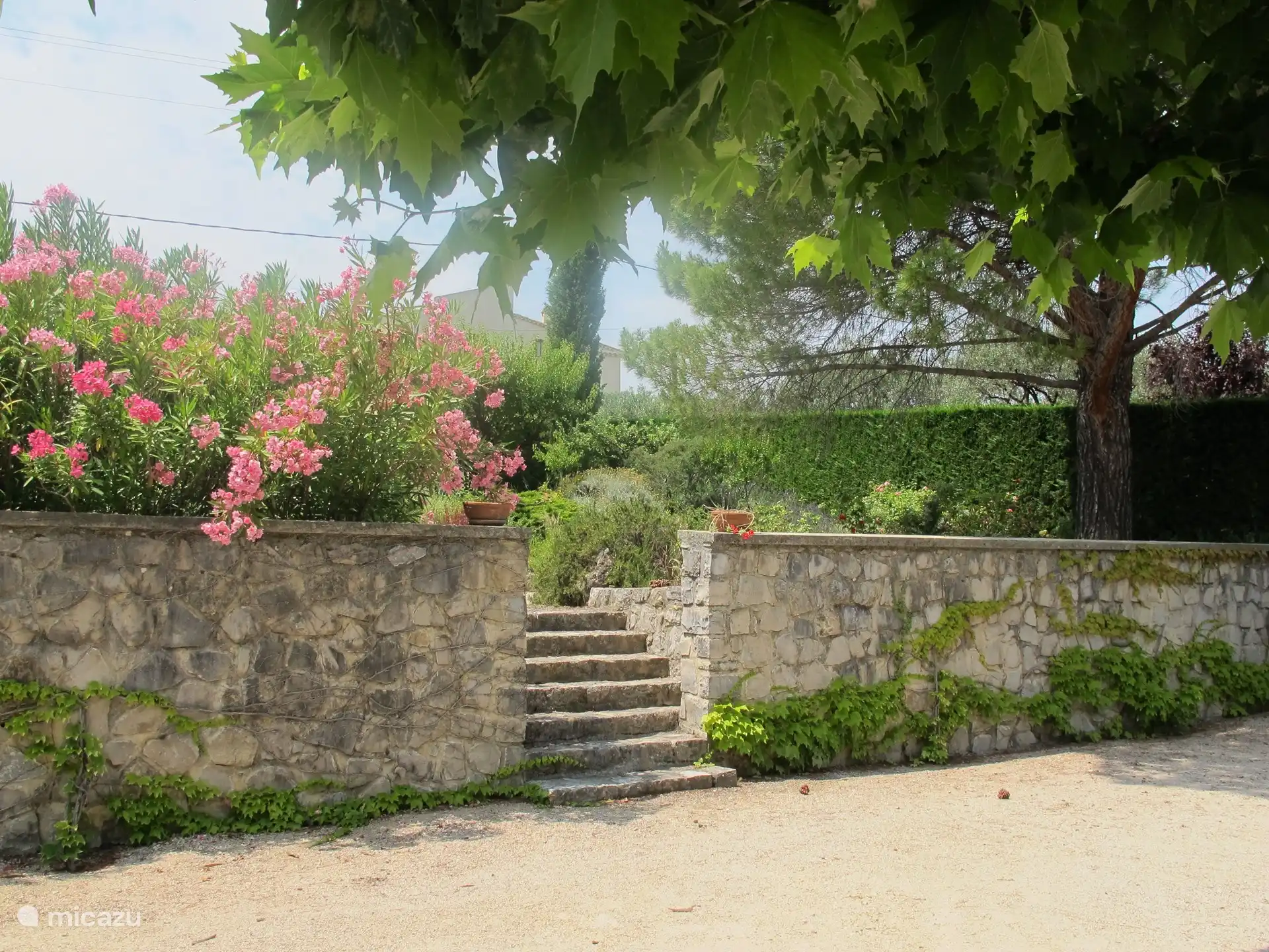 Jardín de rosas con árboles frutales.