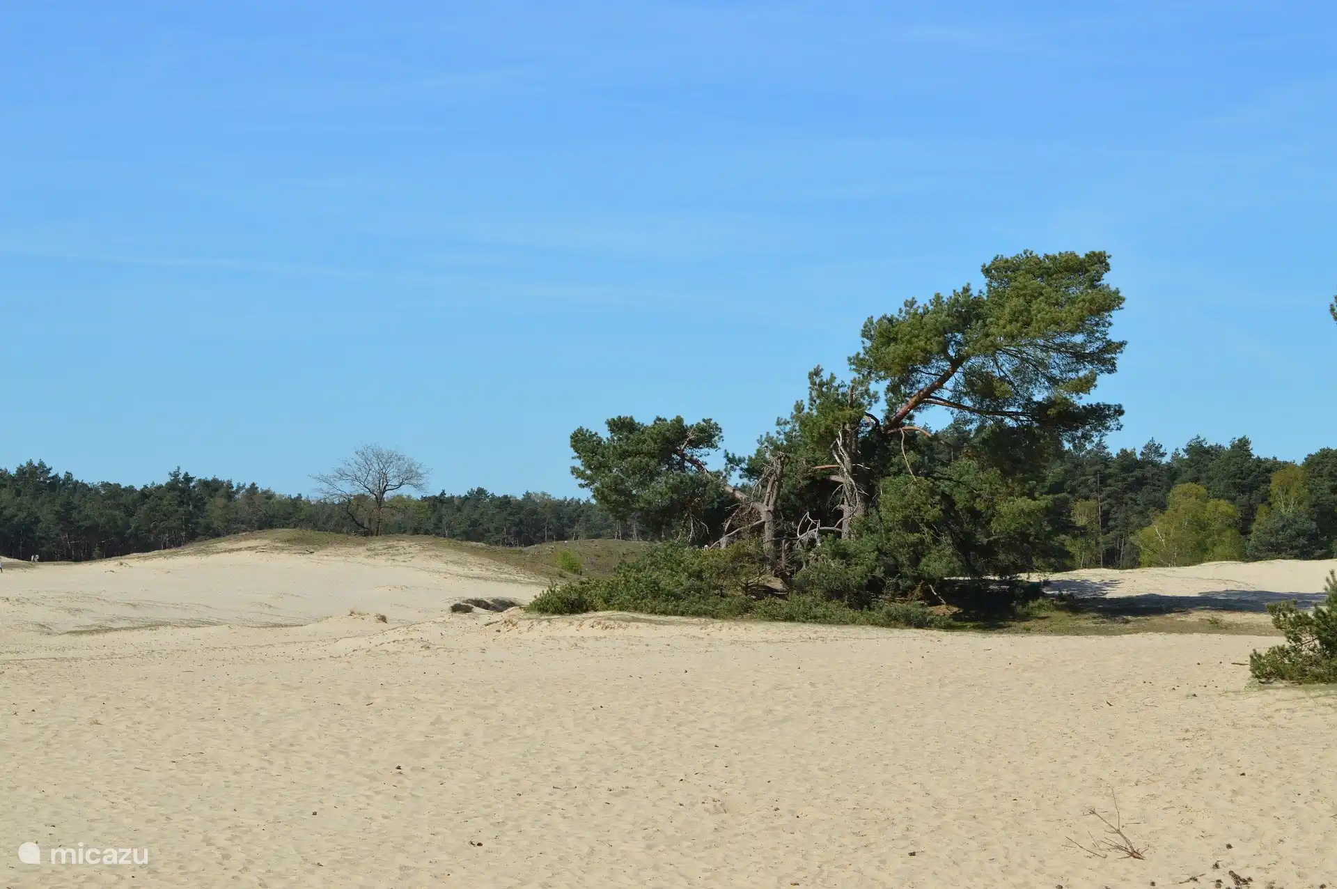 Hoge Veluwe