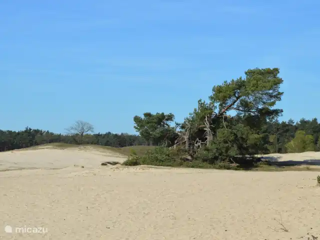 HoraHomes Hébergement de groupe | Pays-Bas, Gueldre, Bennekom - maison de vacances Hoge Veluwe