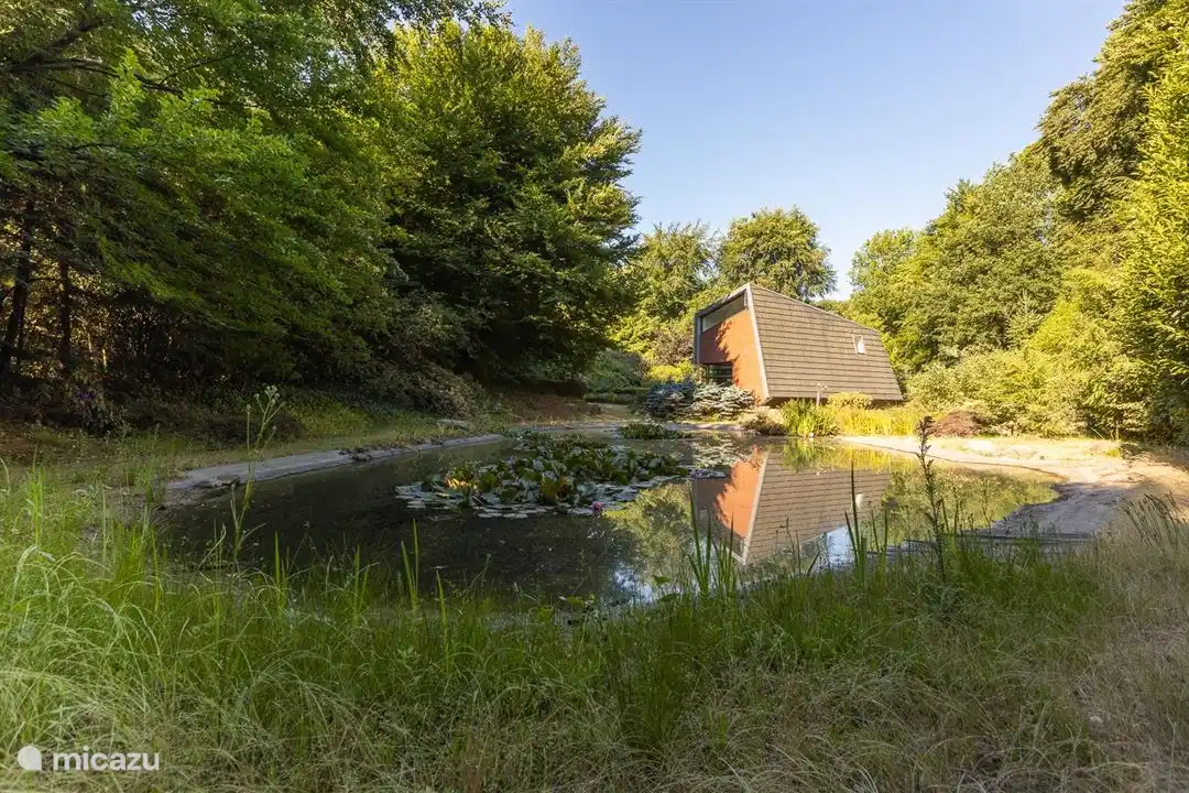 The villa en de tuin