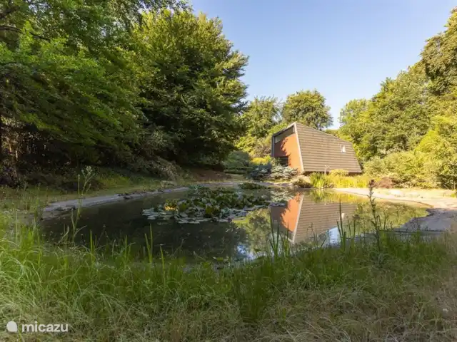 HoraHomes Hébergement de groupe | Pays-Bas, Gueldre, Bennekom - maison de vacances La villa et le jardin