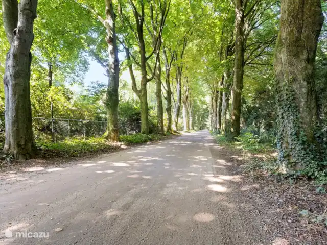 HoraHomes Hébergement de groupe | Pays-Bas, Gueldre, Bennekom - maison de vacances Horalaan