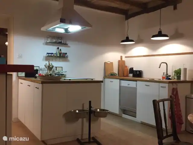 Le tilleul | France, Dordogne, Coux-et-Bigaroque - maison de vacances cuisine avec appareils électroménagers