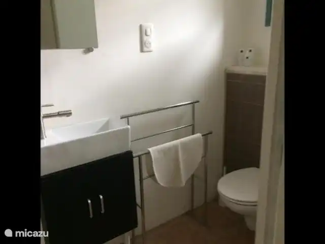 Le tilleul | France, Dordogne, Coux-et-Bigaroque - maison de vacances salle de bain dans le hall de la maison