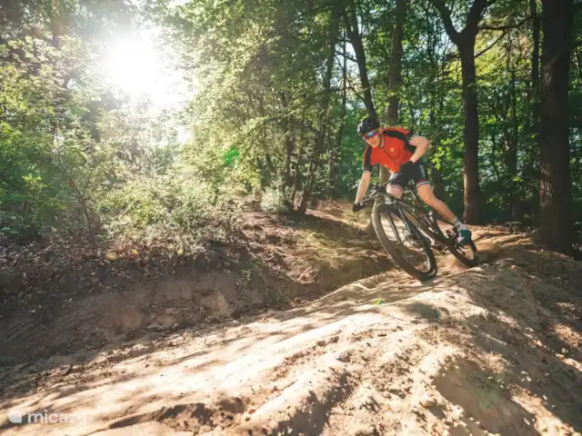 Maison de vacances Babbel | Pays-Bas, Gueldre, Lochem - maison mitoyenne vélo de montagne