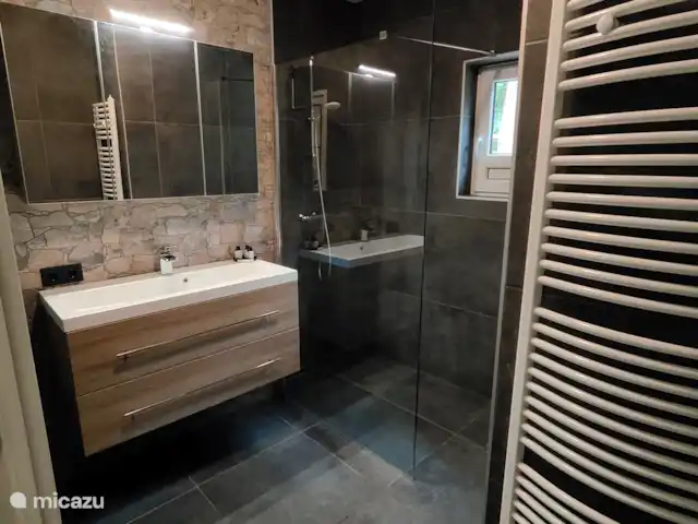 Maison de vacances Babbel | Pays-Bas, Gueldre, Lochem - maison mitoyenne Salle de bain - Babbel