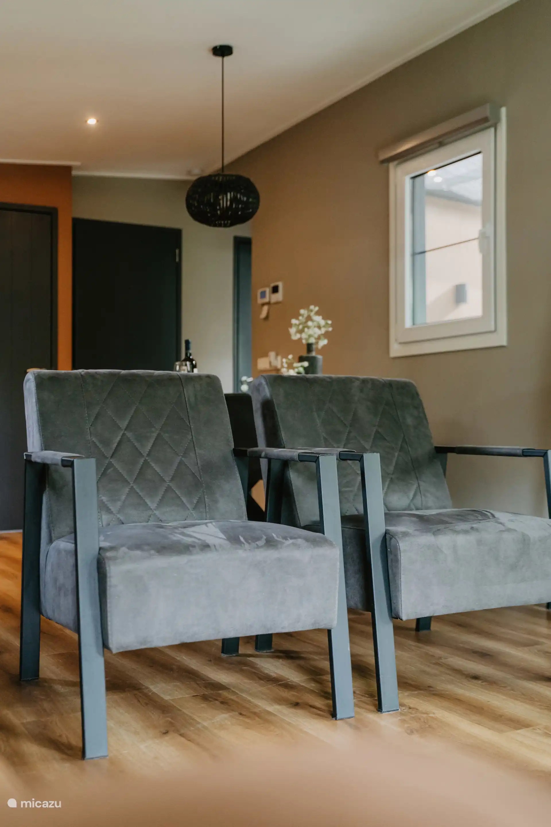 Fauteuils de luxe