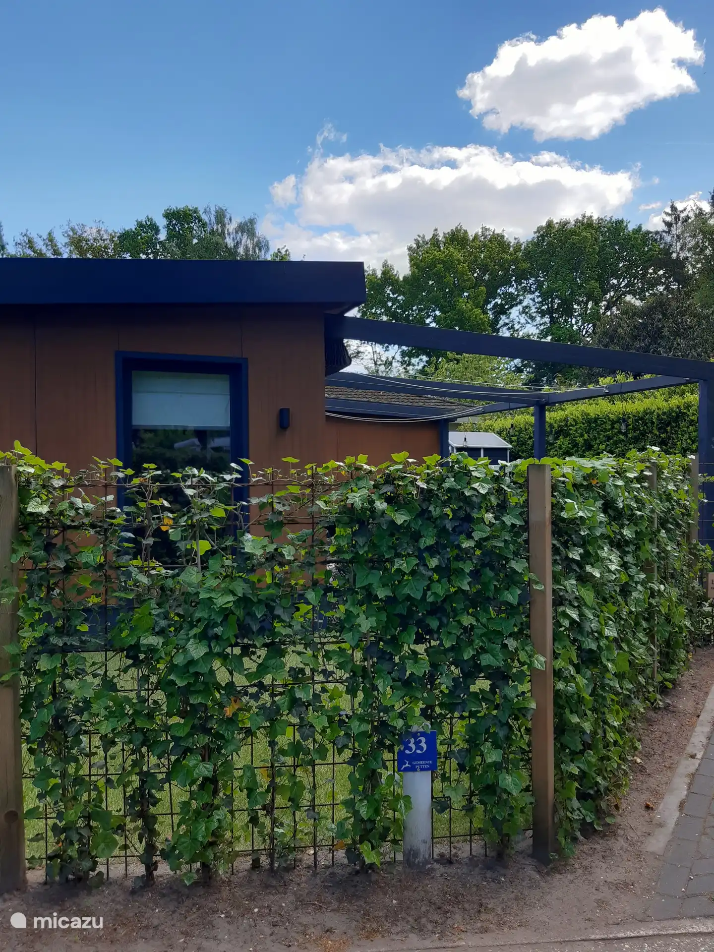 Inzwischen ist der Zaun fast zugewachsen. Sie haben viel Privatsphäre im Garten. 