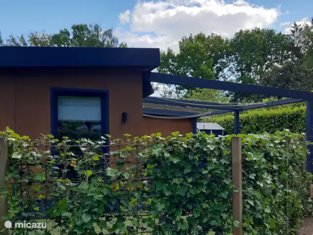 Attrayant et luxueux Boshuisje 33 @Veluwe | Pays-Bas, Gueldre, Wells - chalet Entre-temps, la clôture s’est presque refermée. Vous avez beaucoup d’intimité dans le jardin.