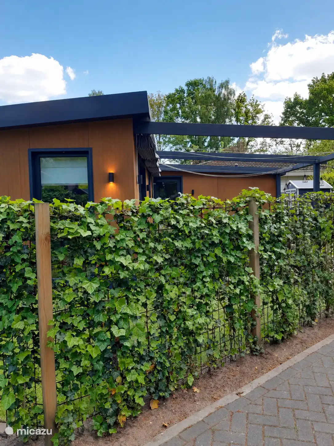 La clôture a maintenant complètement grandi, offrant beaucoup d’intimité dans le jardin. 