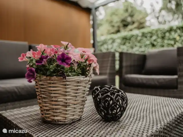 Attrayant et luxueux Boshuisje 33 @Veluwe | Pays-Bas, Gueldre, Wells - chalet