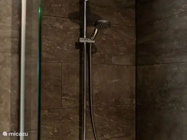 Attrayant et luxueux Boshuisje 33 @Veluwe | Pays-Bas, Gueldre, Wells - chalet Douche à l’italienne avec douche à effet pluie