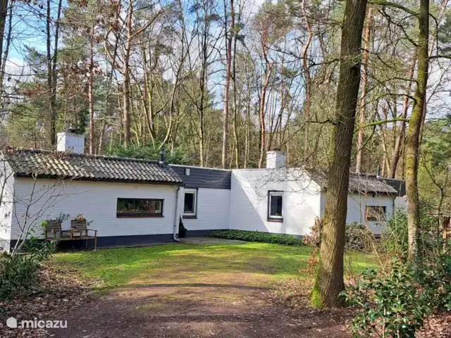 Maisons de vacances Chip & Dale | Pays-Bas, Gueldre, Lochem - maison mitoyenne Maisons de vacances Chip & Dale | Pays-Bas, Gueldre, Lochem - maison mitoyenne