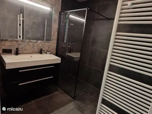 Maisons de vacances Chip & Dale | Pays-Bas, Gueldre, Lochem - maison mitoyenne Salle de bain - Nibble
