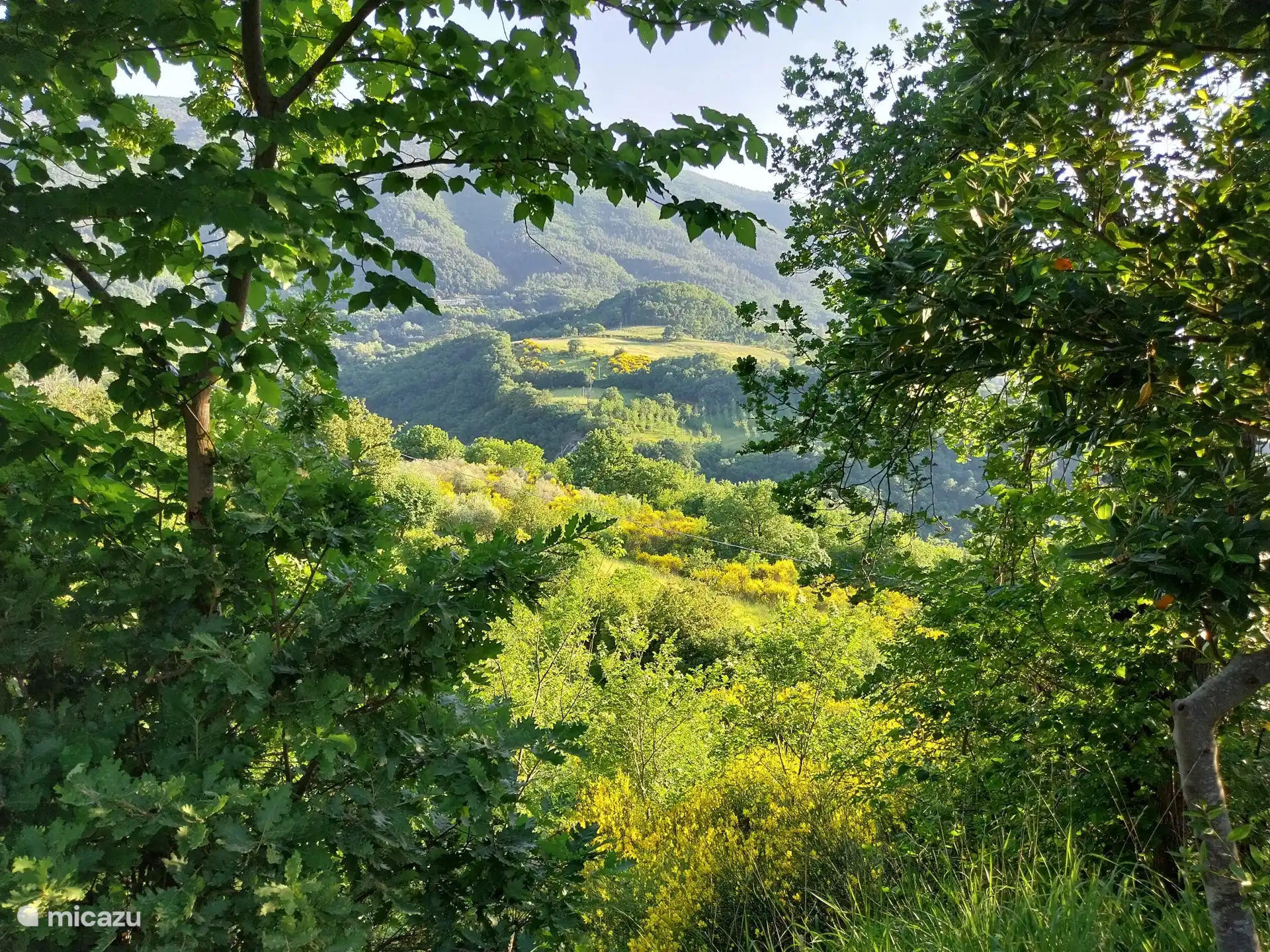 In spring, the entire area around Monte Subasio turns a beautiful yellow of the gorse (Ginestra), with delicious aromatic scents.