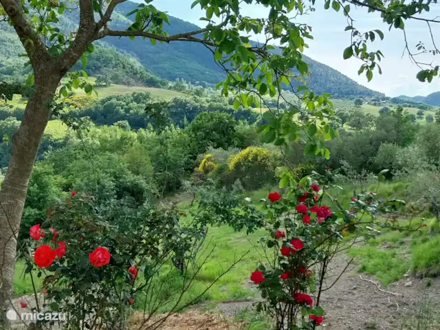 casa vacacional en Italia, Umbría, Asís  – Casa vacanza Ponte Marchetto Vistas panorámicas desde el patio trasero.