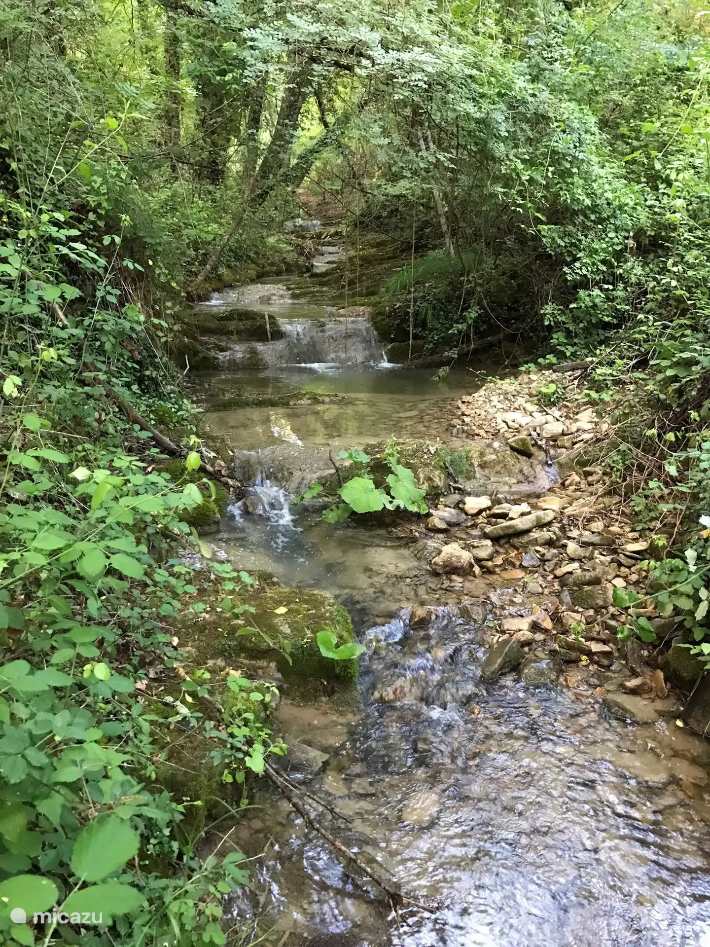 Numerous springs spring up on the flanks of Monte Subasio.