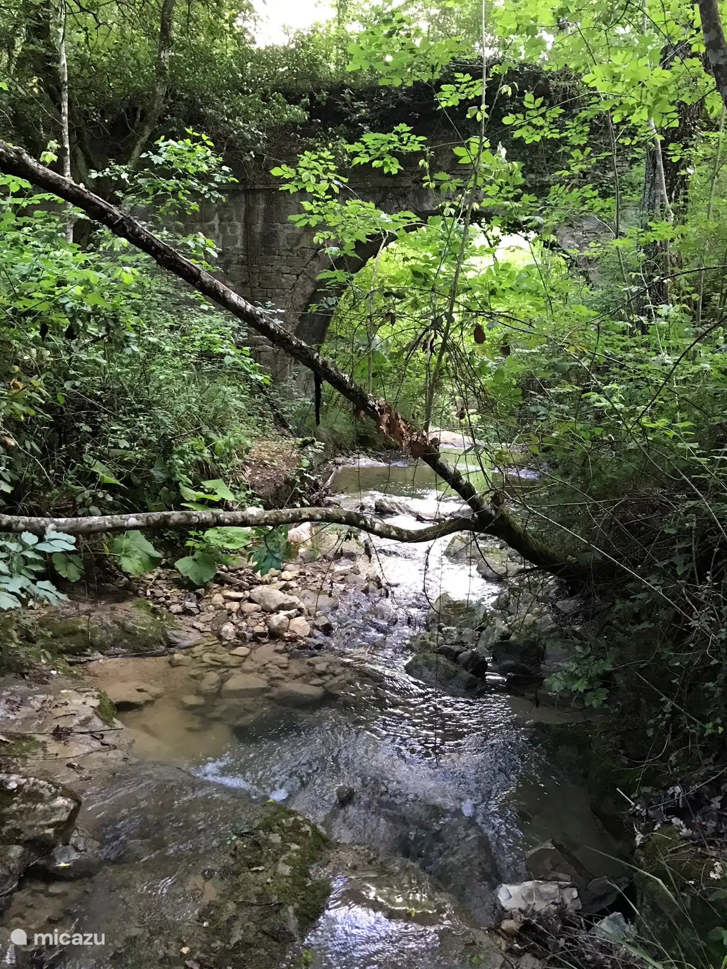 Many natural water streams on the mountain flanks.