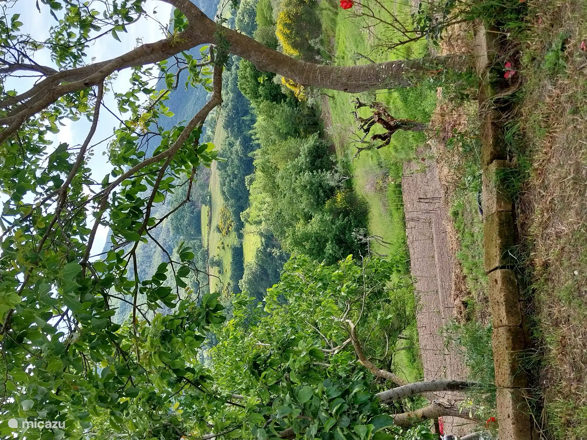 The view from your backyard