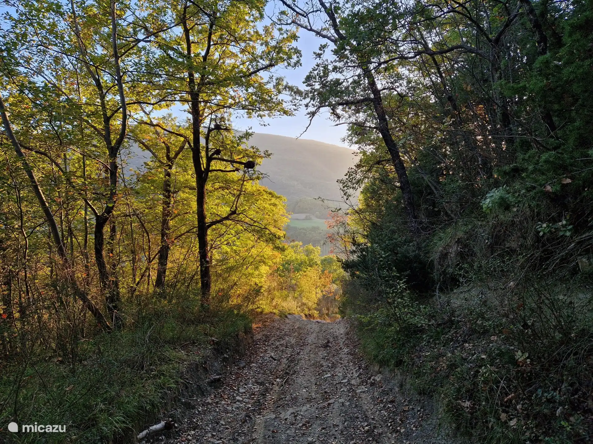 Lovely walking in the immediate vicinity from the Casa Vacanza.
