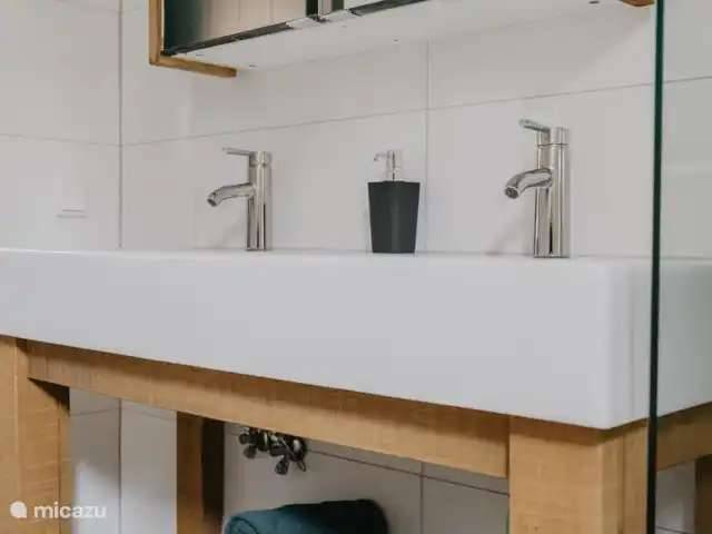 Luxueux et confortable Boshuisje 34 @Veluwe | Pays-Bas, Gueldre, Wells - chalet Le mobilier de la salle de bain est équipé d’une armoire de toilette avec espace de rangement